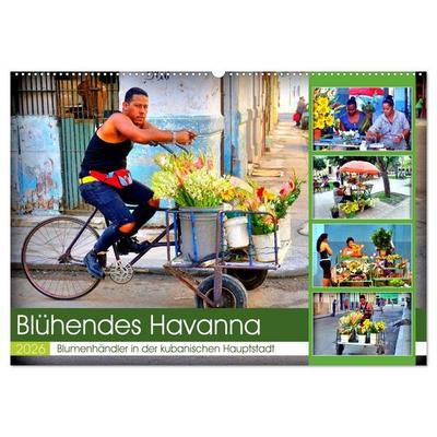 Blühendes Havanna - Blumenhändler in der kubanischen Hauptstadt (Wandkalender 2026 DIN A2 quer), CALVENDO Monatskalender