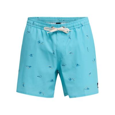 Boardshorts QUIKSILVER "Stretch Printed Volley 16", Herren, Gr. XS, Normalgrößen, blau (aqua spaced out), Obermaterial: 92% Polyester, 8% Elasthan., Hosen