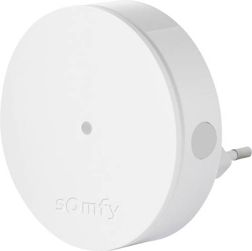 Somfy Funk-Repeater Home Alarm 2401495