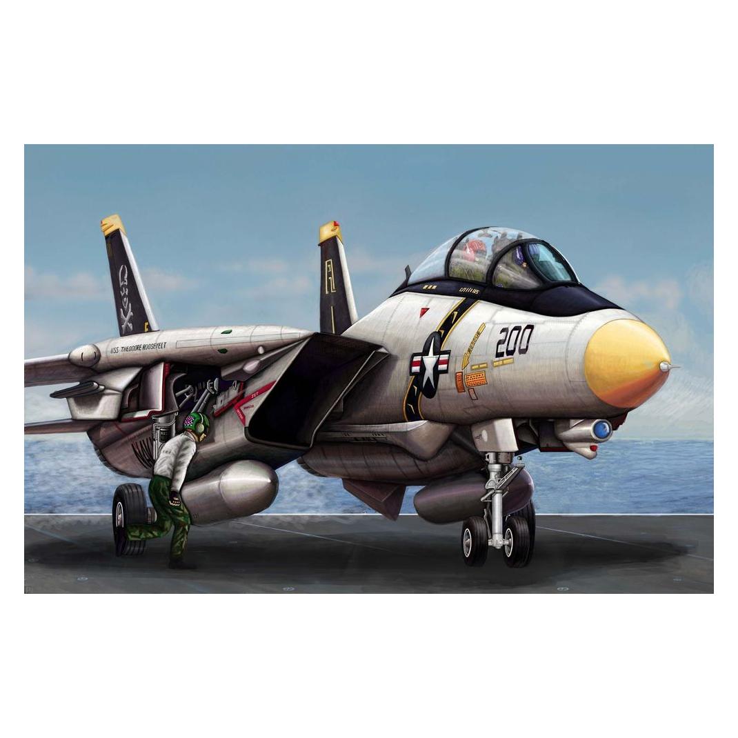 Trumpeter F-14A Tomcat (03910)