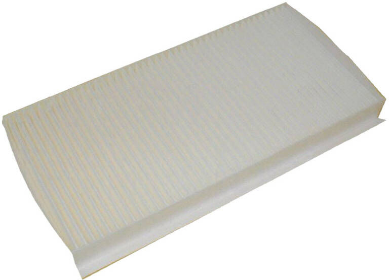 DELPHI TSP0325296 Pollen filter