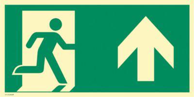 moedel Fluchtwegschild „Notausgang rechts Pfeil oben“, nach ISO 7010 E002, Kunststoff selbstklebend, langnachleuchtend, B 400 x H 200 mm