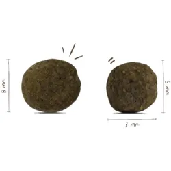 Bosch Mini Adult Geflügel & Hirse 5x1 kg