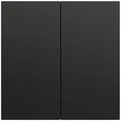 Gira Wippe Serien Schalter schwarz lackiert 537074