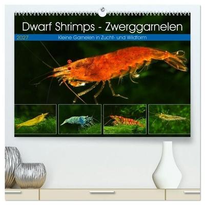 Dwarf Shrimps - Zwerggarnelen (hochwertiger Premium Wandkalender 2027 DIN A2 quer), Kunstdruck in Hochglanz