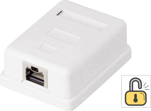 Renkforce 1 Port Netzwerkdose Aufputz CAT 6 KSV-ND10 Weiß RF-4473849