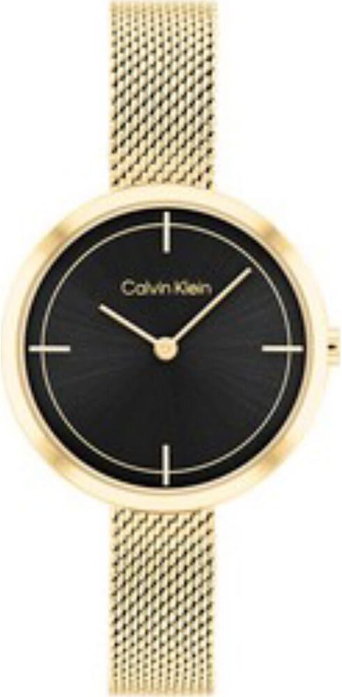 Montre Calvin Klein  - 25200186 Homme