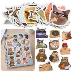 Set mit Katzenaufklebern, Memes, verschiedene Motive, 50 Stück, 7–8 cm