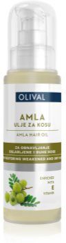 Olival Amla óleo regenerativo para cabelos secos e enfraquecidos 60 ml. Amla