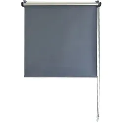 como Seitenzugrollo  Mini Rollo ¦ silber ¦ Synthetische Materialien ¦ Maße (cm): B: 85