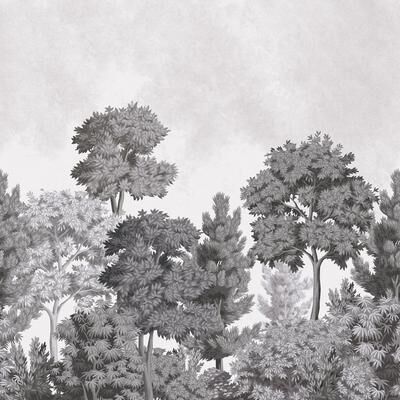 Advantage Delamere Mono Wall Mural