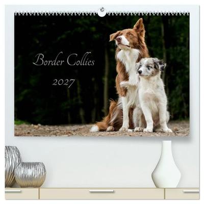 Border Collies 2027 (hochwertiger Premium Wandkalender 2027 DIN A2 quer), Kunstdruck in Hochglanz