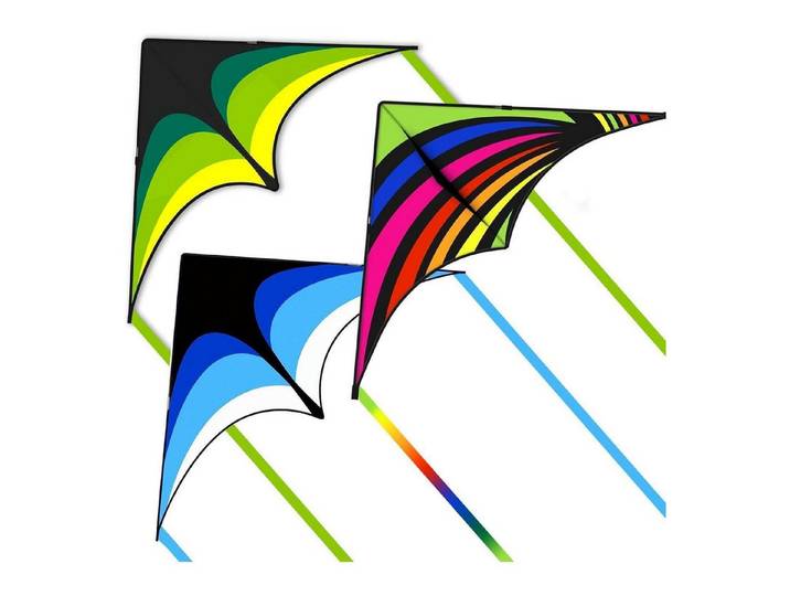 LuxusKollektion Flug-Drache Drachen Delta Kinder Anfänger 2 Bänder 300 Grün Regenbogen und Blau