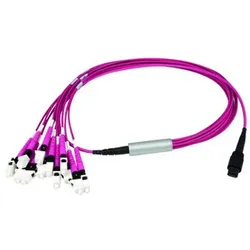 Telegärtner MPO/MTP Aufteilkabl vio 1m 100010922