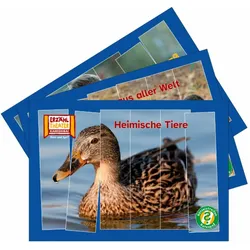 Rätselstreifen Ratespass / Kamishibai Bildkarten, Schulbücher