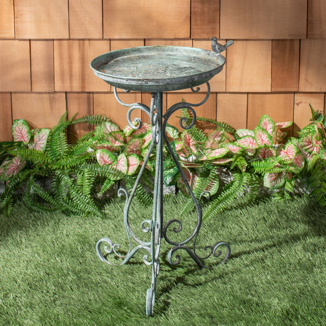 Astoria Grand Ashlan Bird Bath Antique Dark Green 27cm H X 7cm W X 17cm D