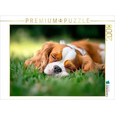 CALVENDO Puzzle Cavalier King Charles Spaniel - Süße Träume im Grünen | 2000 Teile Lege-Größe 90x67cm Foto-Puzzle für glückliche Stunden, von ,