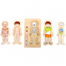 small foot Holzpuzzle Anatomie Tim 271518