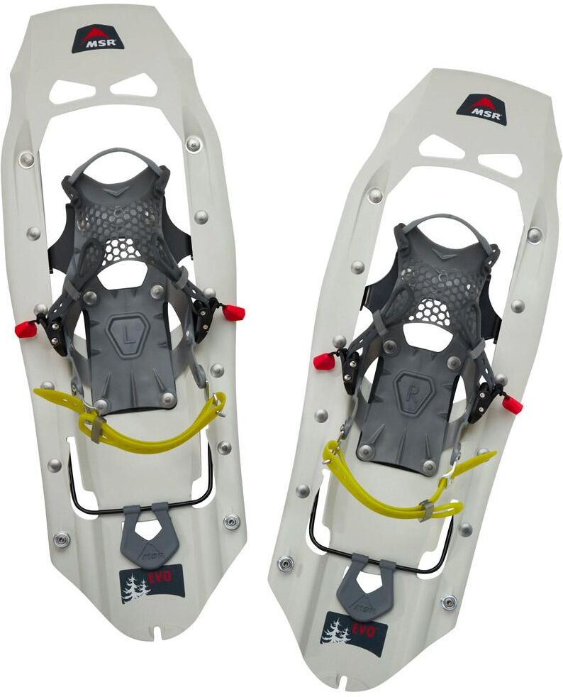 MSR  - Evo Explore Women Bone - Raquette
