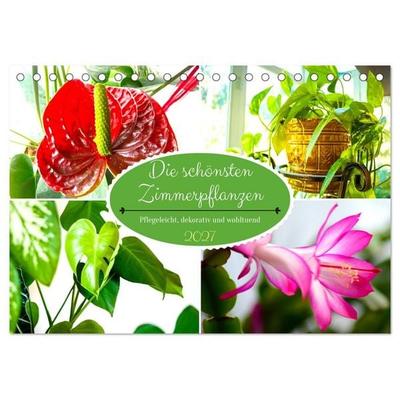 Die schönsten Zimmerpflanzen. Pflegeleicht, dekorativ und wohltuend (Tischkalender 2027 DIN A5 quer), CALVENDO Monatskalender