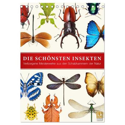 Die schönsten Insekten (Tischkalender 2026 DIN A5 hoch), CALVENDO Monatskalender