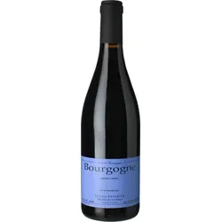 Bourgogne Rouge 2023 - Domaine Sylvain Pataille