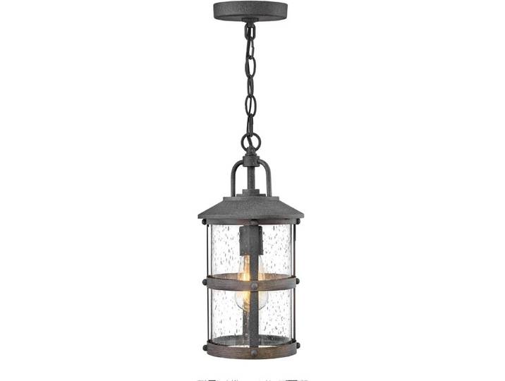 Hinkley LED Buiten Hanglamp Lakehouse 1X E27 Max 60W IP44 Dimbaar Aged Zinc with Driftwood Grey
