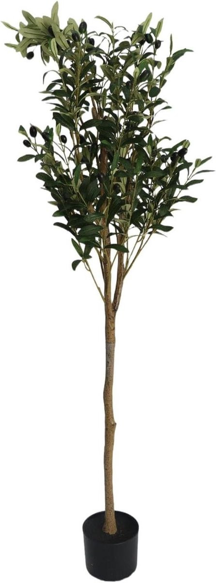 Kunstmatige Olijfboom - Groen - Hoogte: 180 cm