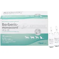 BERBERIS HOMACCORD ad us.vet.Ampullen 250 ml