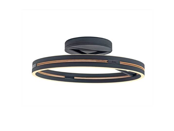 Paul Neuhaus Deckenleuchte Pure Loop, LED-Ring, Fernbedienung -