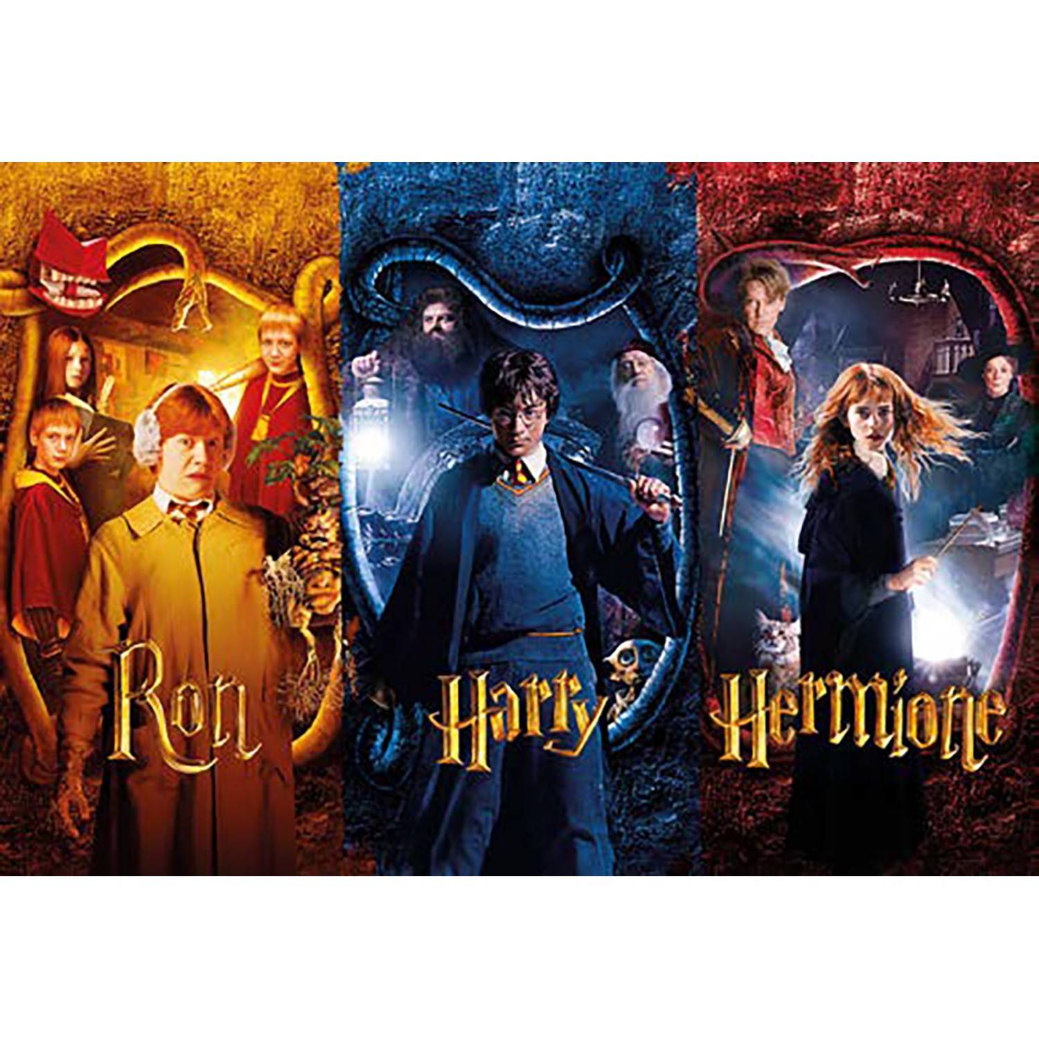 ThumbsUp! Harry Potter Kammer des Schreckens Puzzel 50 stuks