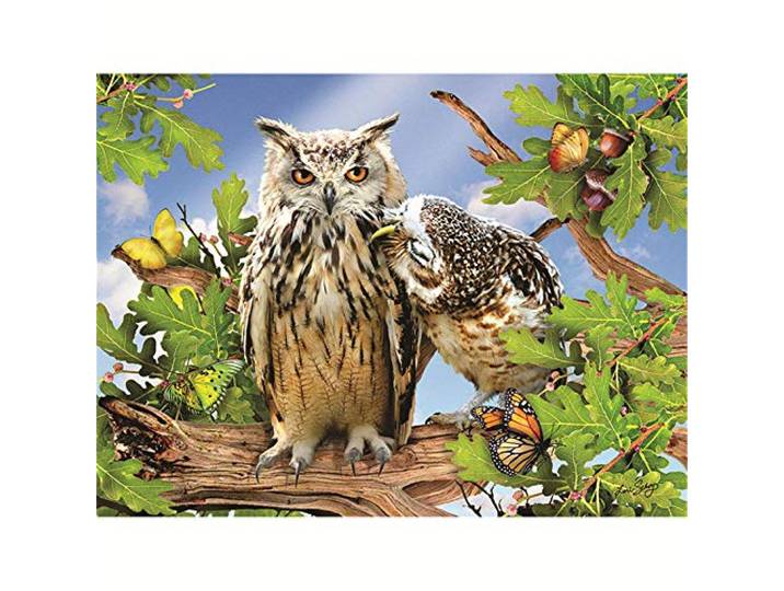 Yingxin34 Puzzle 4000 Teile Zwei Eulen Jigsaw Spiel Erwachsene Kinder Familie Dekompression Spielzeug-55.70x34.44 Zoll (141.5 x 87.5cm)