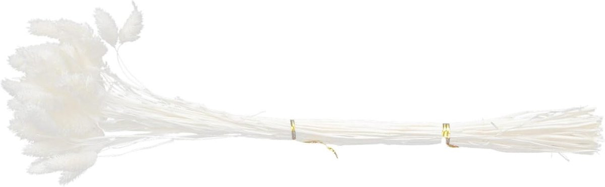 Gedroogd Boeket met 50 stuks witte droogbloemen voor natuurlijke decoratie