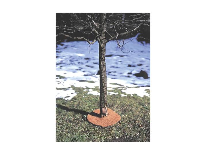 Bodenschutzmatte WINDHAGER Kokos-Winterschutz-Matte , braun, B:50cm L:150cm, Bodenschutzplatten, Bodenschutzmatte