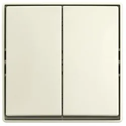 Busch-Jaeger Wippschalter AP 2601/5 J-522