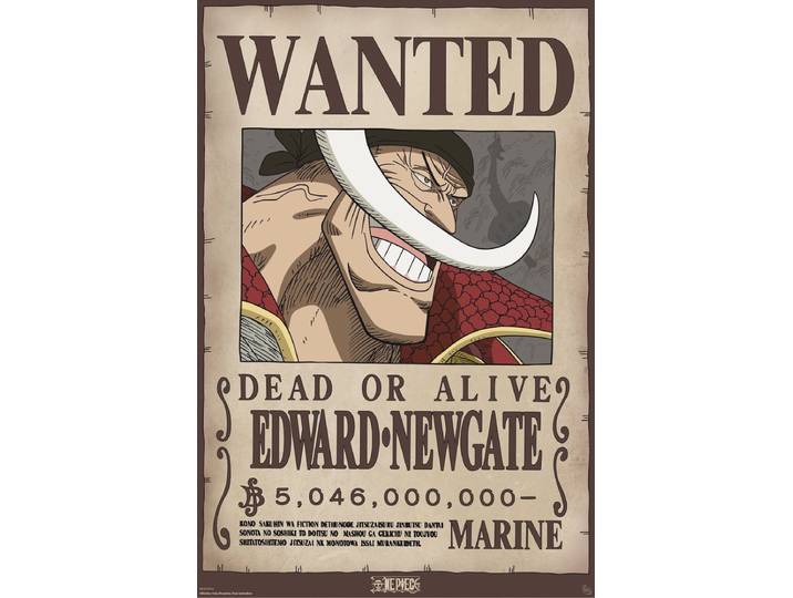Poster One Piece - Wanted Whitebeard 61x91\,5cm