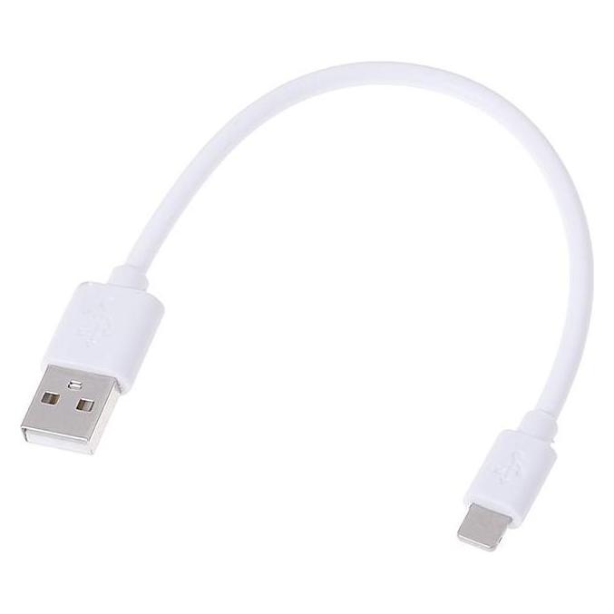 SIGN USB A - Lightning (0.25 m, USB 3.2 Gen 1) (13-1222)