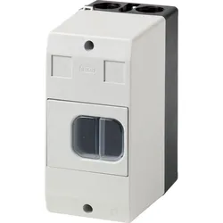 Eaton 281404 Isolierstoffgehäuse, CI-PKZ01, H x B x T = 158 x 80 x 116.5 mm, IP65, + Betätigungsmembran CI-PKZ01-G