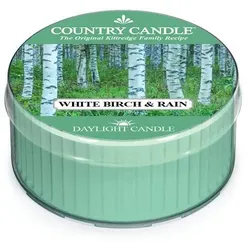White Birch & Rain Daylight 42g