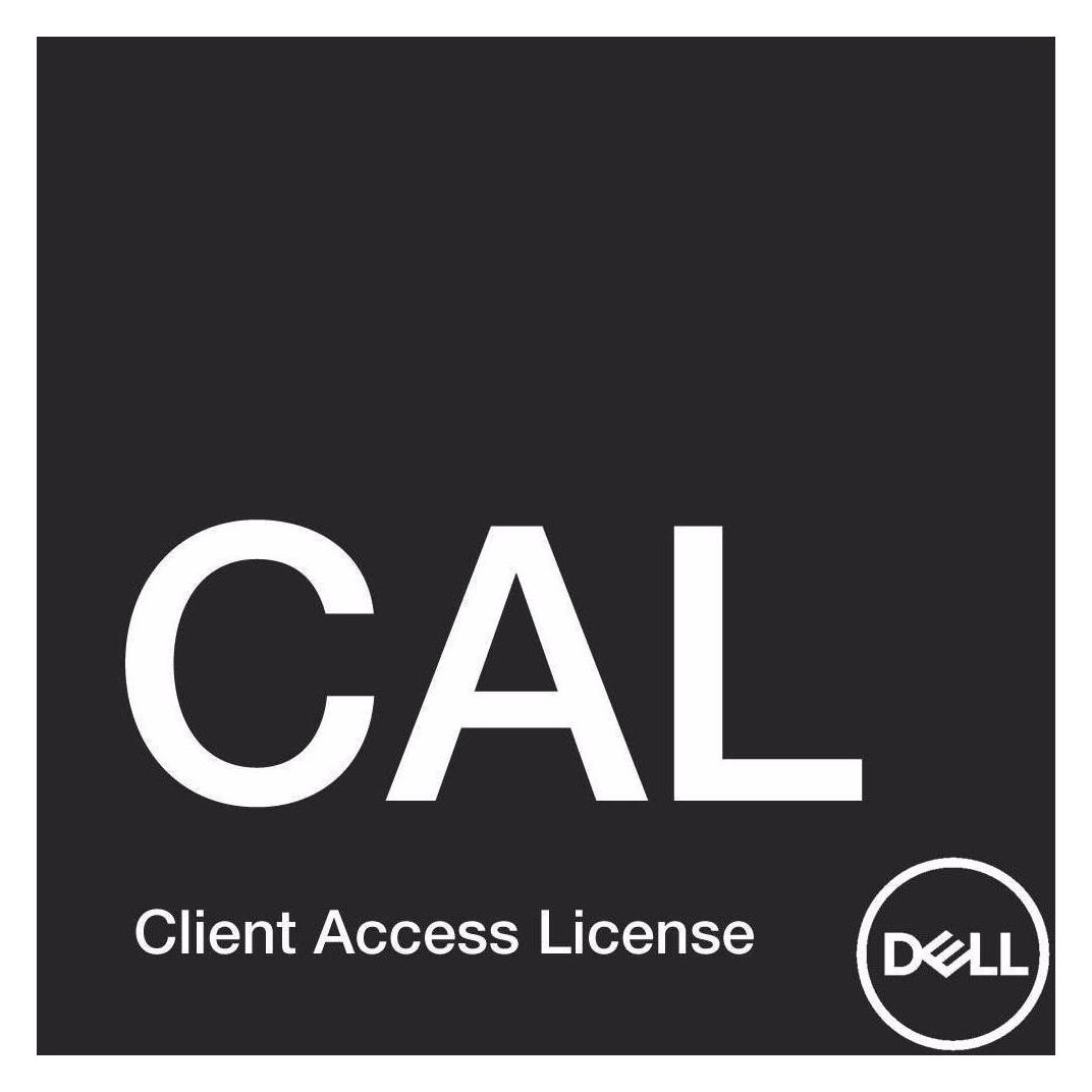 Dell Windows Server 2022 User CAL 10 Pack, D/E/F/I ROK (10 User, unbegrenzt) (634-BYKP)
