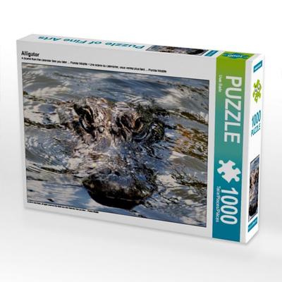CALVENDO Puzzle Alligator | 1000 Teile Lege-Größe 64x48cm Foto-Puzzle für glückliche Stunden