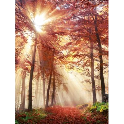 Leinwandbild BÖNNINGHOFF "Wandbild HERBSTWALD 46x61 cm – Leinwandbild Keilrahmen Deko modern", orange (farbe rahmen: kein rahmen, farbe bild(er): rot, grün), B:46cm H:61cm T:1,8cm, Canvas, MDF, Bilder, Leinwandbild, auf Keilrahmen gespannt