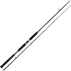 Shimano Beastmaster AX Pilk 2,40m 150-300g 2pc Pilkrute