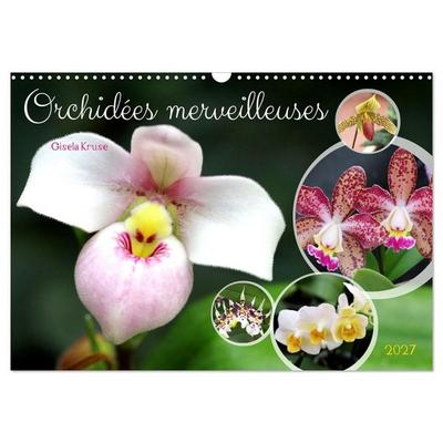 Orchidées merveilleuses (Calendrier mural 2027 DIN A3 vertical), CALVENDO calendrier mensuel