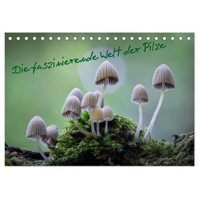 Die faszinierende Welt der Pilze (Tischkalender 2027 DIN A5 quer), CALVENDO Monatskalender