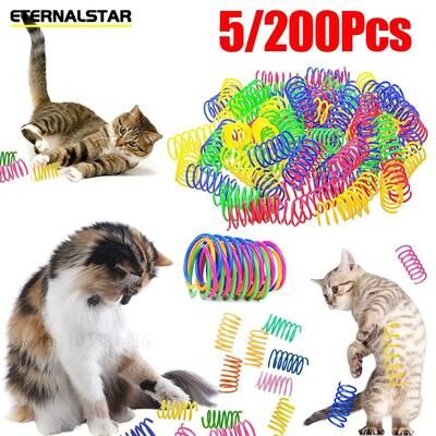 Inspired Living Durable Interactive Cat Spring Toys For Indoor Cats Colorful Spiral Coil Kitten Play Set 5pcs
