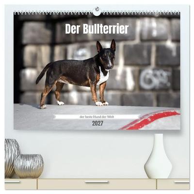 Der Bullterrier der beste Hund der Welt (hochwertiger Premium Wandkalender 2027 DIN A2 quer), Kunstdruck in Hochglanz