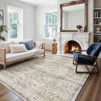 Style Haven Willett Oriental Grey/ Gold Area Rug