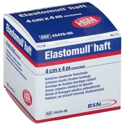 Elastomull Haft 4mx12cm 1 ST