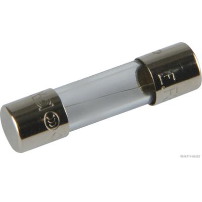 HERTH+BUSS ELPARTS Sicherung 50295052